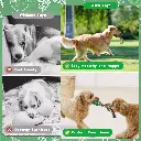 Pets.Love.Earth Christmas Rope Toy Kit With Santa – 8 pack  