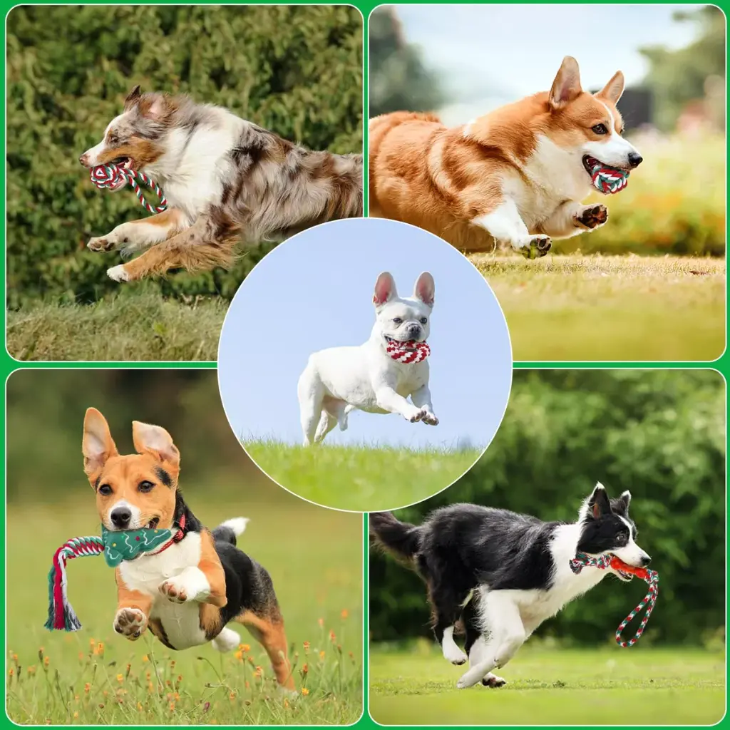 Pets.Love.Earth Christmas Rope Toy Kit With Santa – 8 pack  