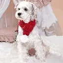 Pets.Love.Earth Christmas Solid Knitted Scarf  