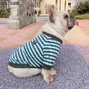 Pets.Love.Earth Stripe Round Neck Matching Shirt Set For Humans And Pets 