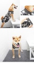 Pets.Love.Earth Post – Operative Recovery Bodysuit – Camouflage 