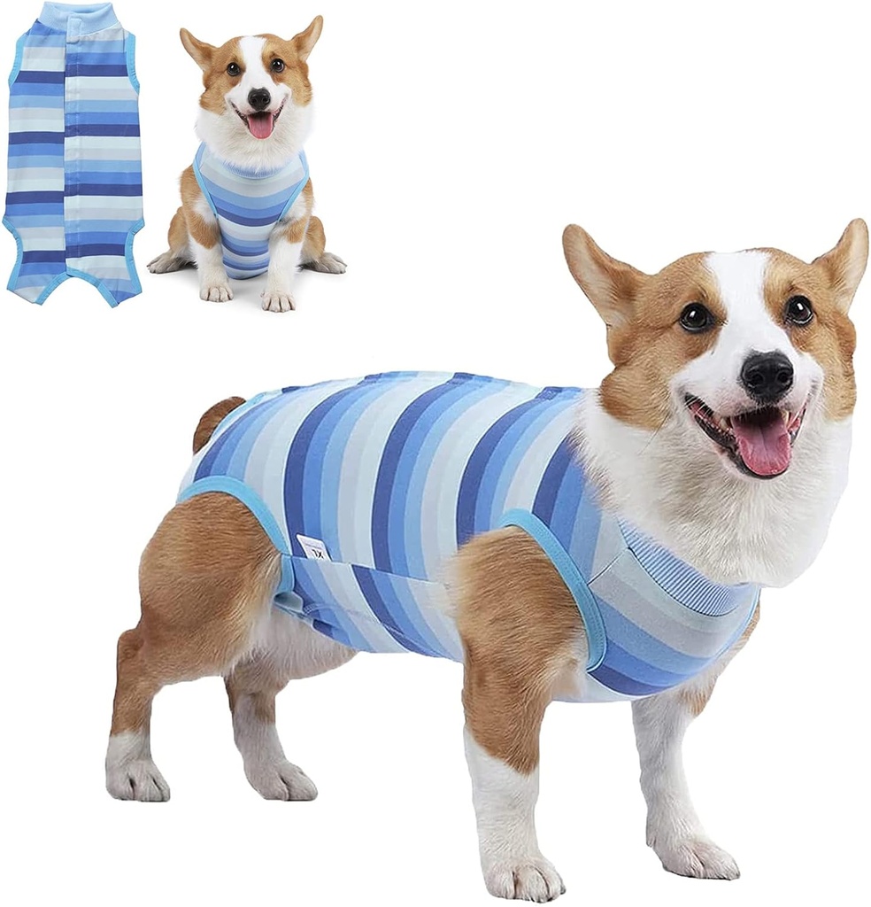 Pets.Love.Earth Post – Operative Recovery Bodysuit – Blue Stripes 