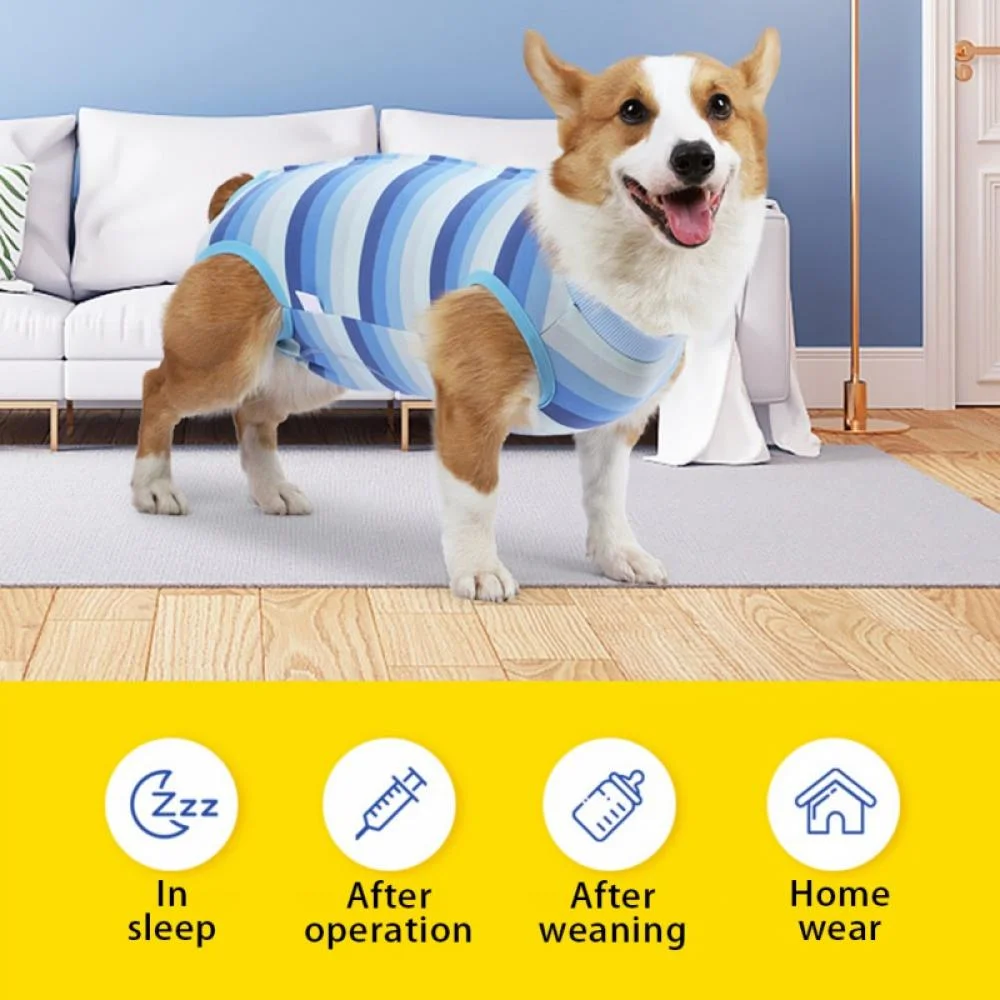 Pets.Love.Earth Post – Operative Recovery Bodysuit – Blue Stripes 
