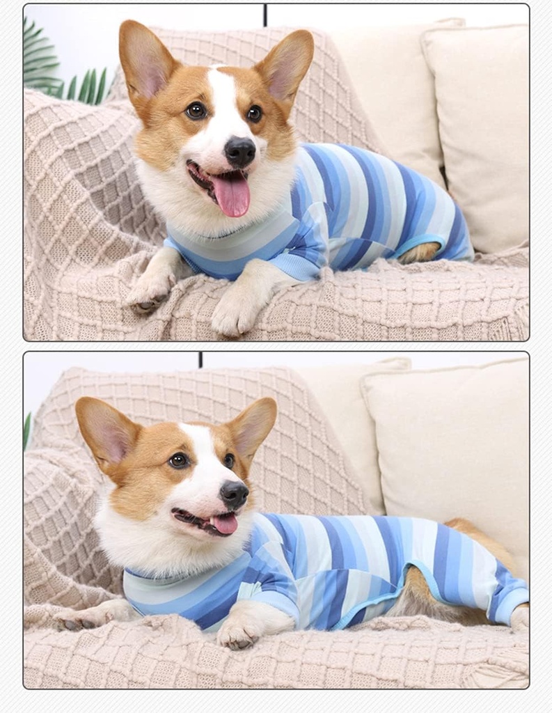 Pets.Love.Earth Post – Operative Recovery Bodysuit – Blue Stripes 
