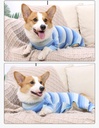 Pets.Love.Earth Post – Operative Recovery Bodysuit – Blue Stripes 