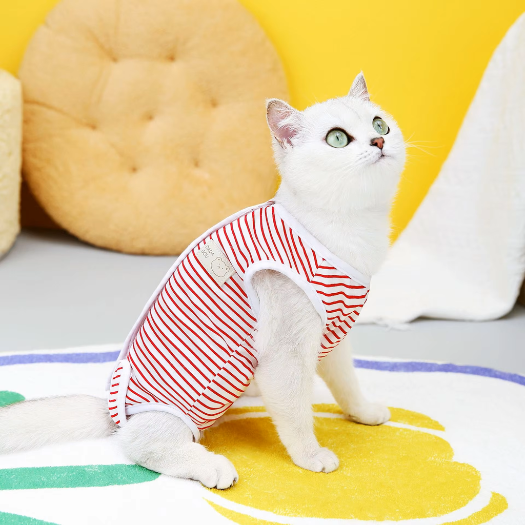 Pets.Love.Earth Post – Operative Recovery Bodysuit 