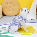 Pets.Love.Earth Post – Operative Recovery Bodysuit 