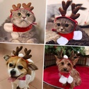 Pets.Love.Earth Christmas  Antler Headband  - 15x14x3cm 