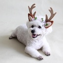 Pets.Love.Earth Christmas Antler Headband Brown - 18 cm 
