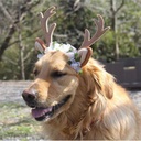 Pets.Love.Earth Christmas Antler Headband Brown - 18 cm 