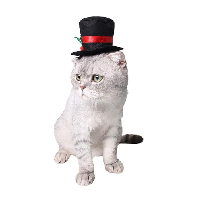 Pets.Love.Earth Black Top Hat With Christmas Holly - Adjustable 26-30cm 