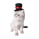 Pets.Love.Earth Black Top Hat With Christmas Holly - Adjustable 26-30cm 