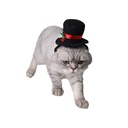 Pets.Love.Earth Black Top Hat With Christmas Holly - Adjustable 26-30cm 