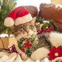 Pets.Love.EarthChristmas Classic Hat With White Pompom- 17cm 