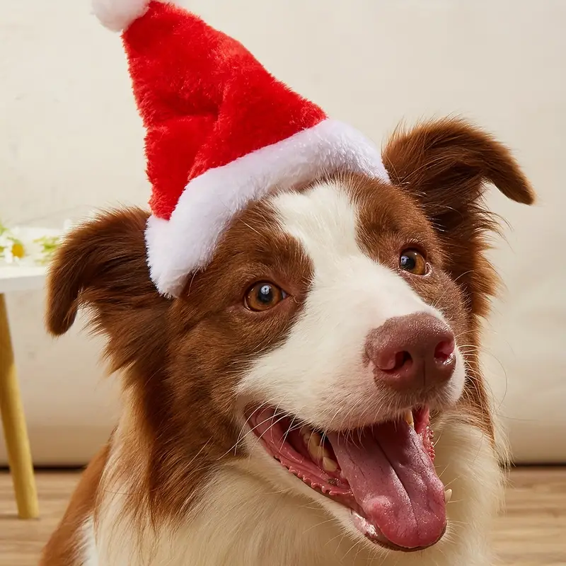 Pets.Love.EarthChristmas Classic Hat With White Pompom- 17cm 