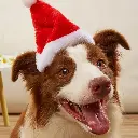 Pets.Love.EarthChristmas Classic Hat With White Pompom- 17cm 