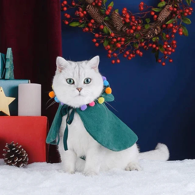 Pets.Love.Earth  Christmas Cape green - 25 x 23 cm 