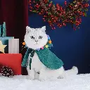Pets.Love.Earth  Christmas Cape green - 25 x 23 cm 