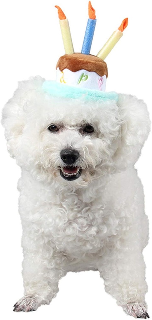 Pets.Love.Earth Birthday Cake Top Hat 