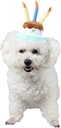 Pets.Love.Earth Birthday Cake Top Hat 