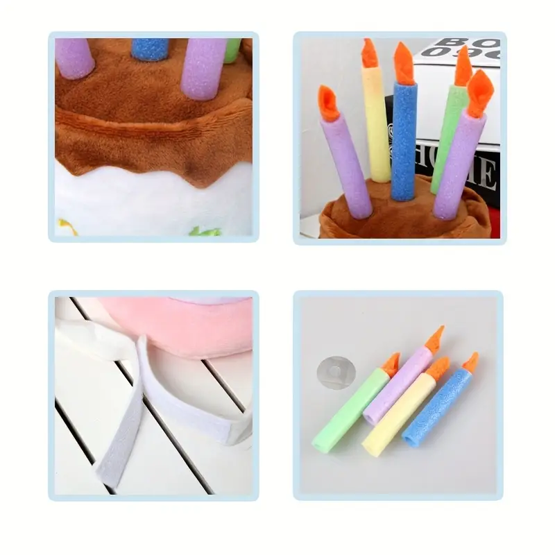 Pets.Love.Earth Birthday Cake Top Hat 