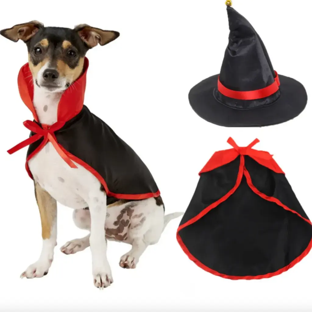 Pets.Love.Earth Witch Cape & Wizard Hat - Halloween 2-Piece Set 