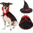 Pets.Love.Earth Witch Cape & Wizard Hat - Halloween 2-Piece Set 