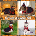 Pets.Love.Earth Witch Cape & Wizard Hat - Halloween 2-Piece Set 