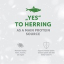 Nature's Protection Superior Care For Red Cats with Herring  Adult