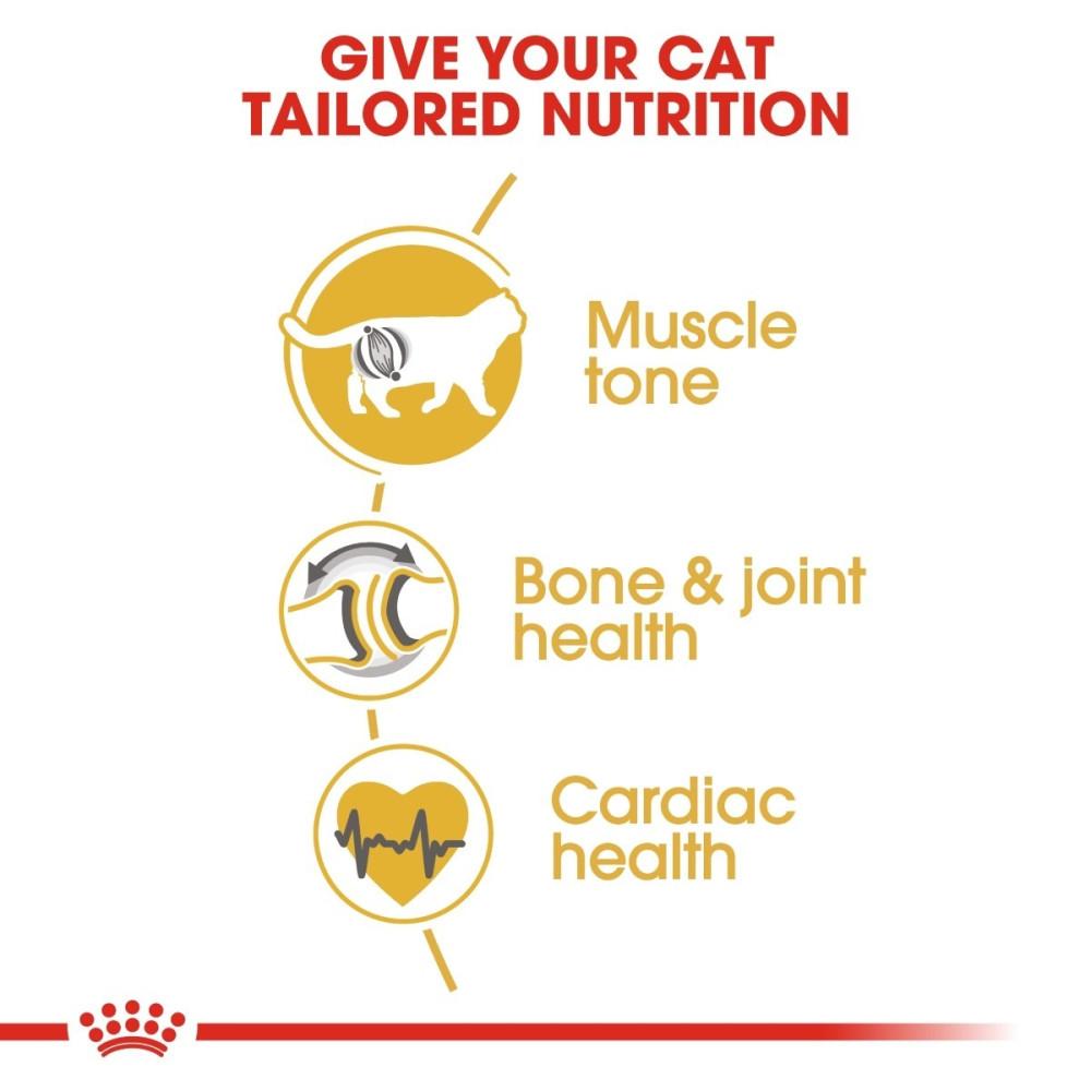 Royal Canin British Shorthair Adult 