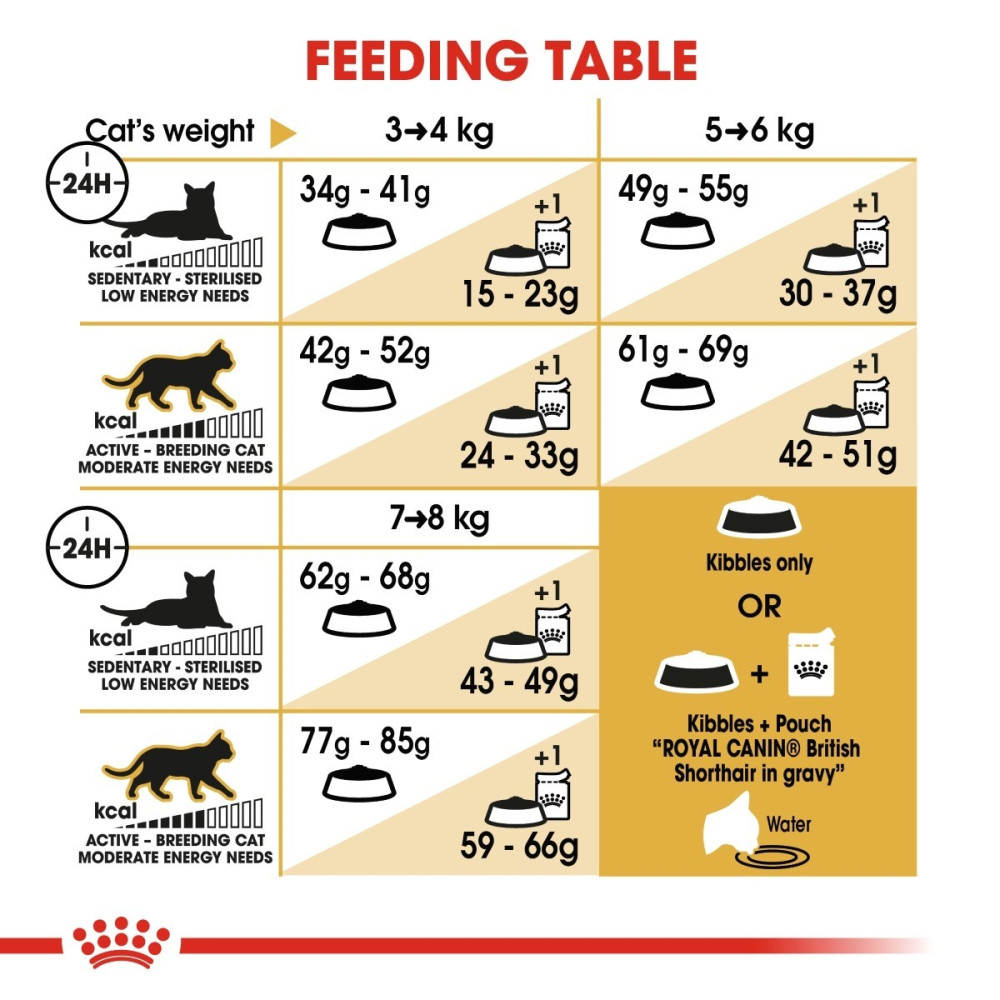 Royal Canin British Shorthair Adult 