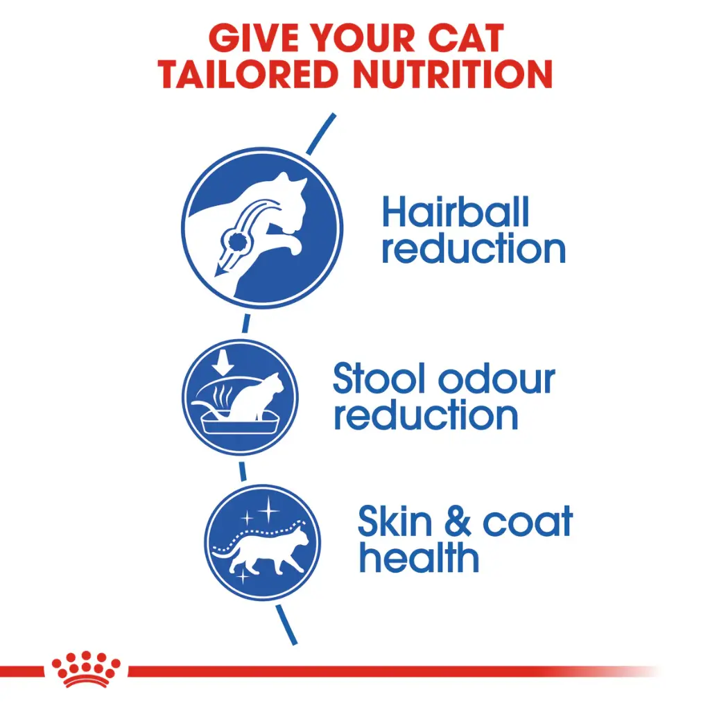 Royal Canin Indoor Long Hair 2 Kg 