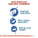 Royal Canin Indoor Long Hair 2 Kg 