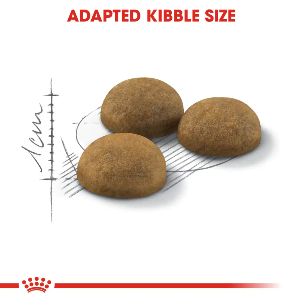 Royal Canin Indoor Long Hair 2 Kg 
