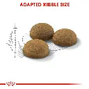 Royal Canin Indoor Long Hair 2 Kg 