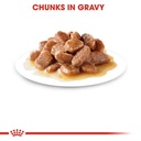 Royal Canin Pouch Sterilized Gravy Formula For Adult Cat – 85g