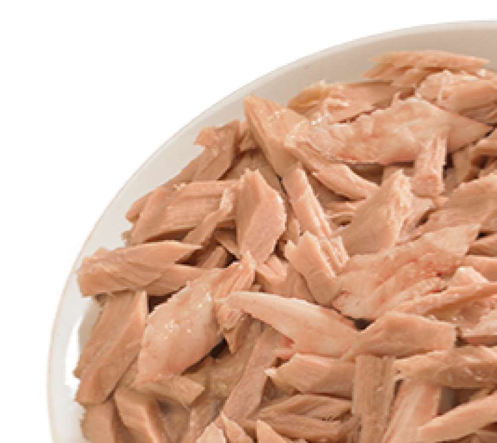Life Cat Can Kitten Beef - 85g 