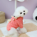 Pets.Love.Earth Knitted Sweater – Pocket Teddy    