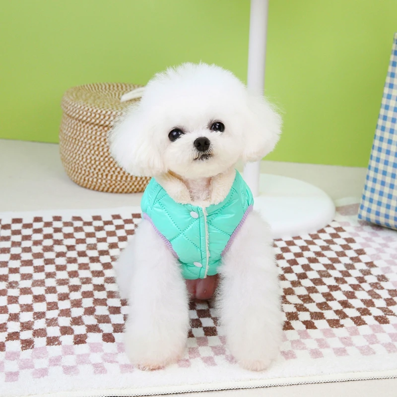 Pets.Love.Earth Cozy Quilted Jacket -  Green & Purple 