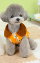 Pets.Love.Earth Cozy Jacket -  Orange with Bunny Print 