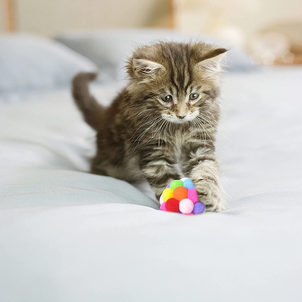 Pets.Love.Earth Rainbow Puff Ball  - 4cm 