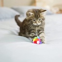 Pets.Love.Earth Rainbow Puff Ball  - 4cm 
