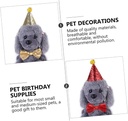 Pets.Love.Earth Party Hat & Bowtie Set 