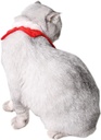 Pets.Love.Earth Holiday Garland Collar Red and Fuzzy - 15 cm 