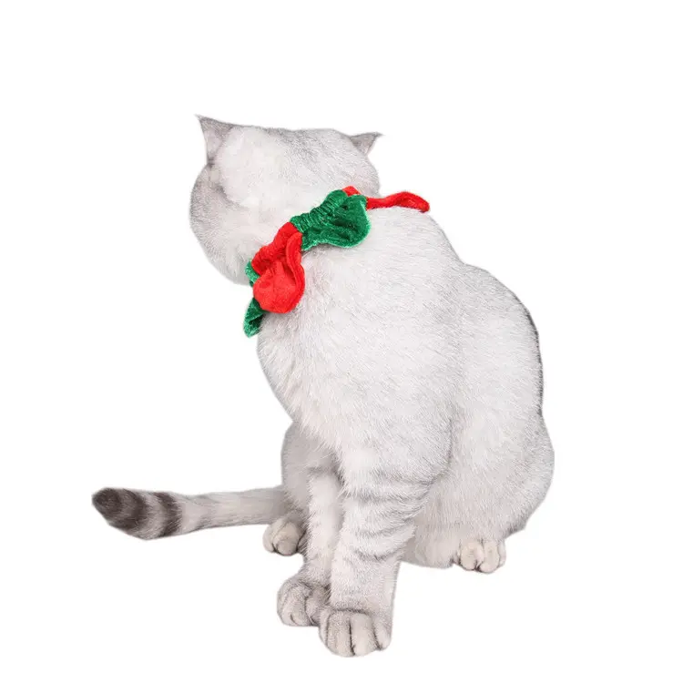 Pets.Love.Earth Holiday Garland Collar Red and Green - 15 cm 