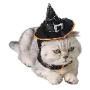 Pets.Love.Earth Hooded Magic Wizard Hat -  Adjustable 26-30cm 