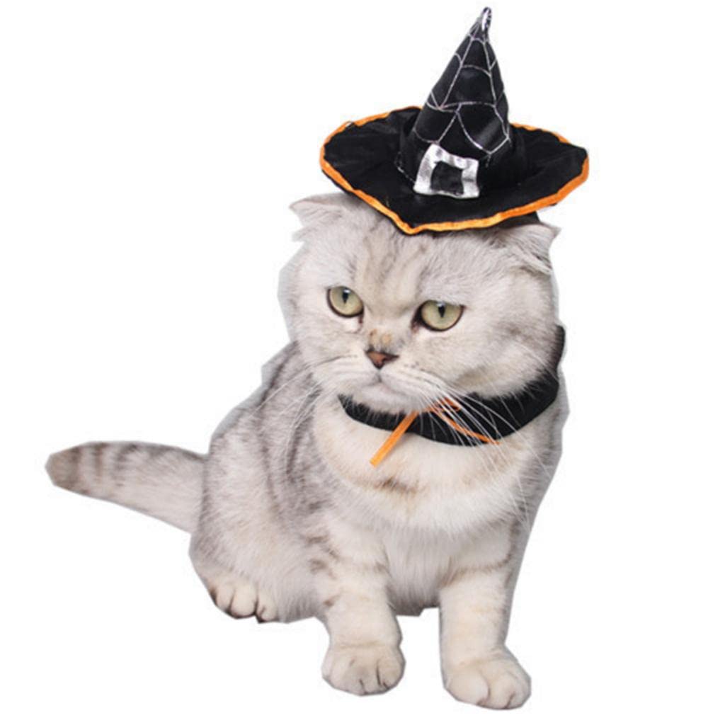 Pets.Love.Earth Hooded Magic Wizard Hat -  Adjustable 26-30cm 