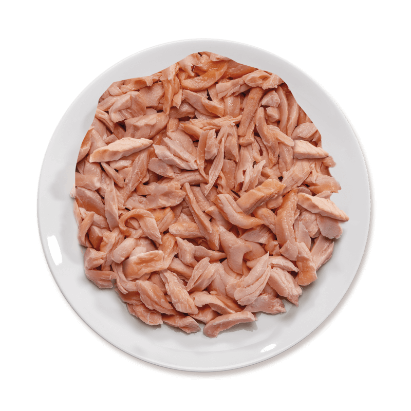 Life Cat Pouch Salmon  - 70g 