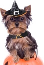 Pets.Love.Earth Hooded Magic Wizard Hat -  Adjustable 26-30cm 