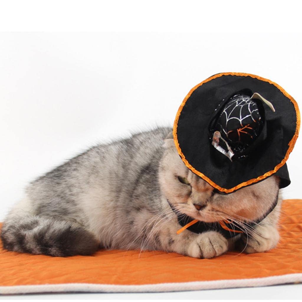 Pets.Love.Earth Hooded Magic Wizard Hat -  Adjustable 26-30cm 